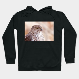 Cooper's hawk profile Hoodie